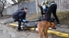 UKRAINE – A dog lies next to a body of a man in a street in the town of Bucha, not far from the Ukrainian capital of Kyiv on April 3, 2022