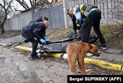 Собака біля тіла мертвого чоловіка на вулиці в місті Буча Київської області після того, як напередодні місто залишили російські військові, 3 квітня 2022 року
