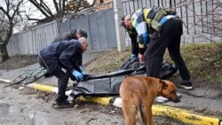 Бучада қатлиом қилинганларни йиғаётган одамлар.