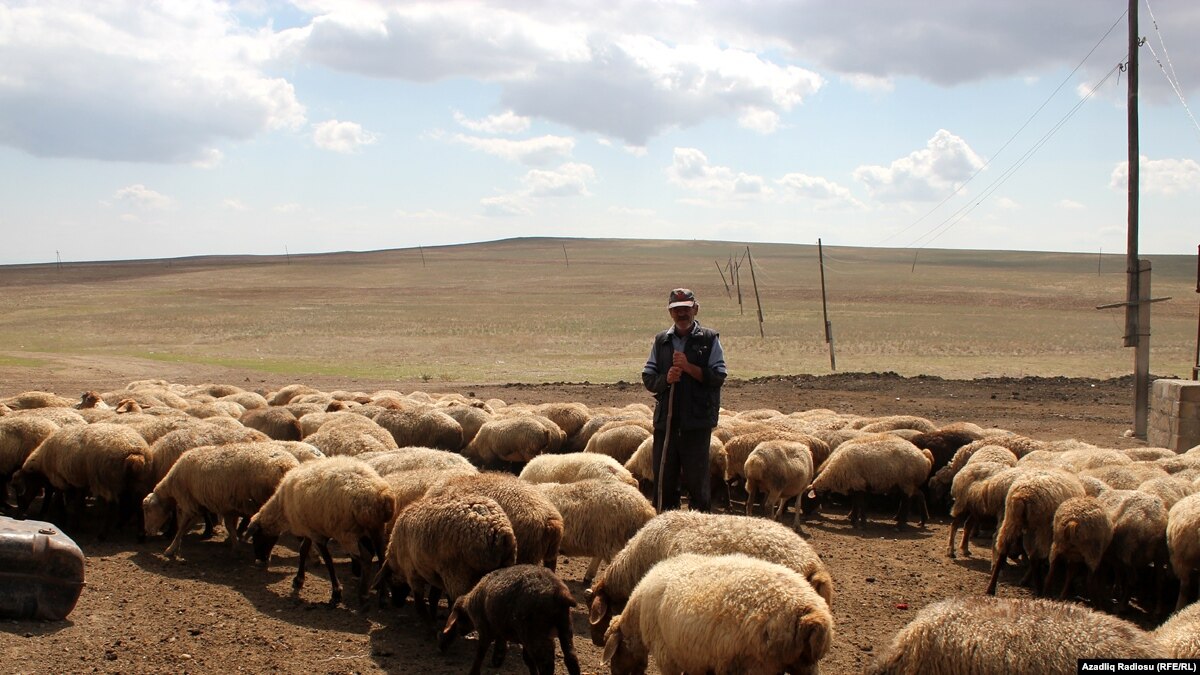 D2FB3A83 F82E 406A BF56 E4F1B81BB9AA_w1200_r1_s