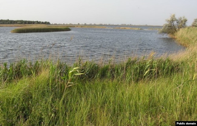 Кінбурнська коса, архівне фото