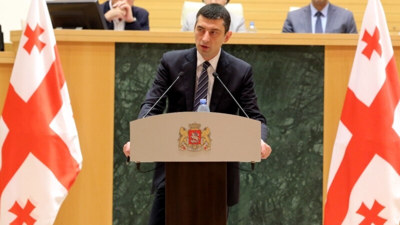 Глава МВД Грузии ответил на вопросы депутатов в связи с событиями в Панкисском ущелье