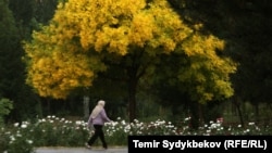 Осень в Бишкеке.