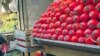 Iran - Tomato in Tehran market, Undated