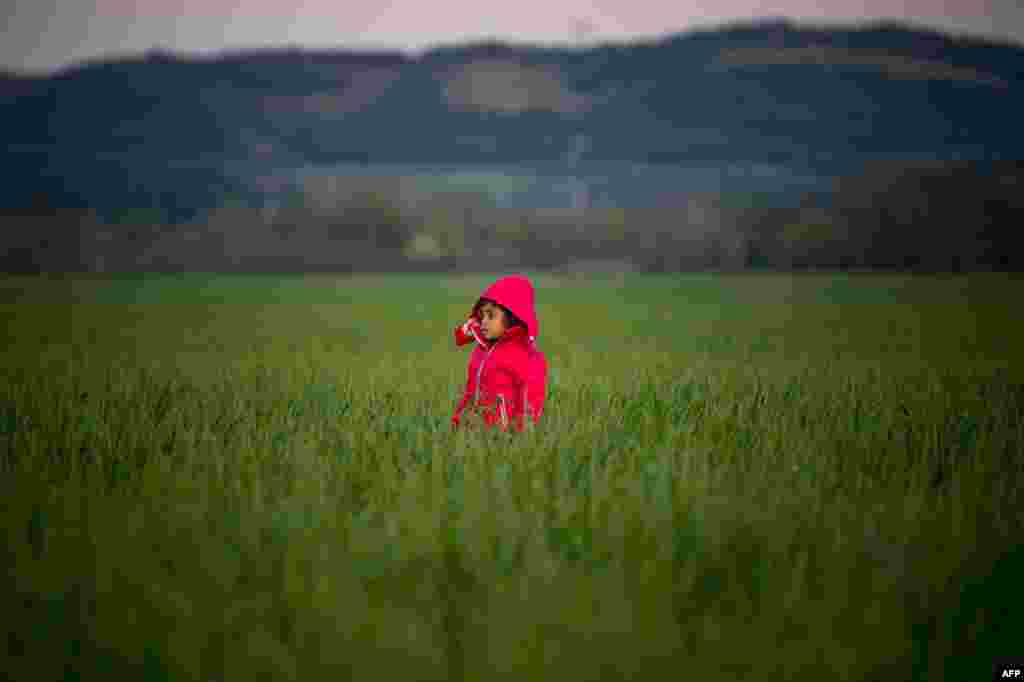 A child stands in a field at a makeshift camp near the village of Idomeni at the Greek-Macedonian border where thousands of migrants and refugees are stranded. (AFP/Andrej Isakovic)