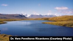 The unusual topography of the Altai-Sayan region on the Russian-Mongolian border has helped turn the area into a sanctuary for several ancient species of mammals. 