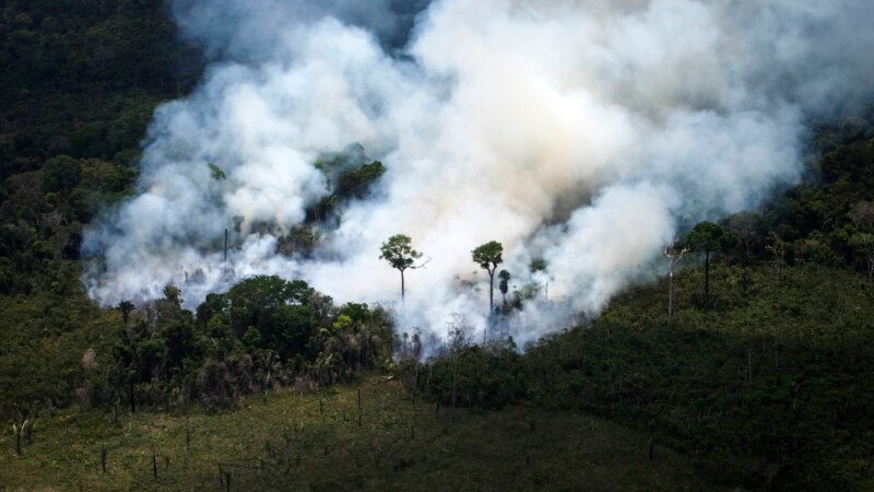 مکرون: آتش‌سوزی آمازون بحران بین‌المللی است