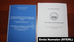 Мэрдин 2014-жылдагы жана 2016-жылдагы программасы.