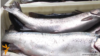 Հայաստան - Շուկայում վաճառվող ձկներ, արխիվ