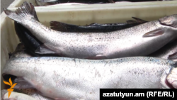 Հայաստան - Շուկայում վաճառվող ձկներ, արխիվ