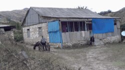 Tovuz rayonunun Koxanəbi kəndi