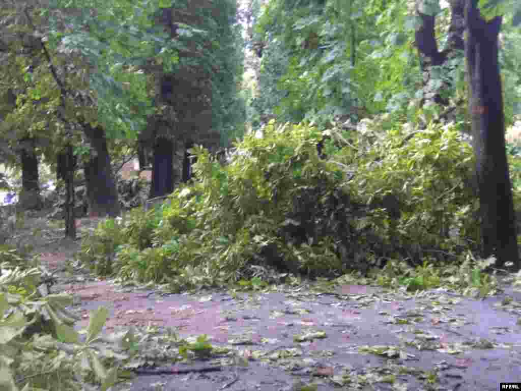 Наслідки буревію у Львові 23 червня 2008 р. - Наслідки буревію у Львові 23 червня 2008 р.