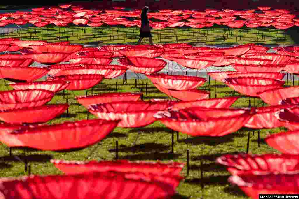 A woman walks past an art installation of 3,200 giant poppy flowers made of artificial silk to commemorate the end of World War I on Koenigsplatz Square in Munich, Germany. (epa-EFE/Lennart Preiss)