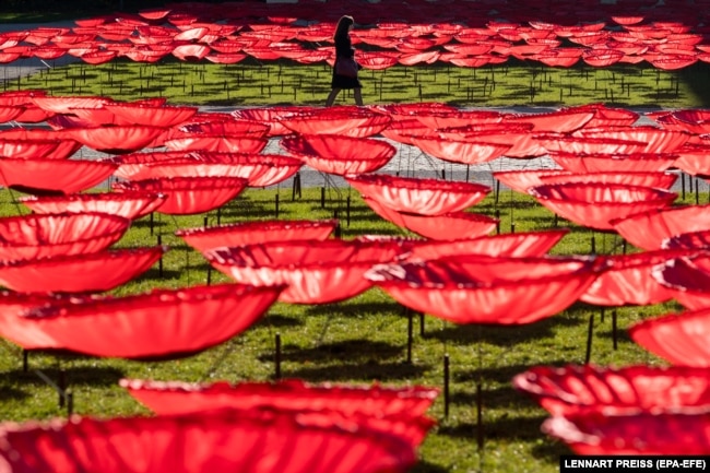 3200 гигантских алых маков – инсталляция, установленная в центре Берлина в память о жертвах Первой мировой войны