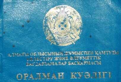 Әуесқойлық порно фильмдерді көру