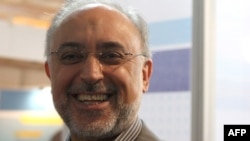 علی‌اکبر صالحی،‌ رئیس سازمان انرژی اتمی ایران