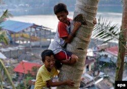 کودکان برای فرار از توفان «هاگوپیت» به بالای درخت نارگیل پناه برده‌اند