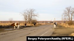 Иллюстративное фото.