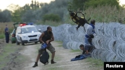 Përpjekje për kalim të murit me tela gjemborë, derisa policia hungareze gjendet në afërsi