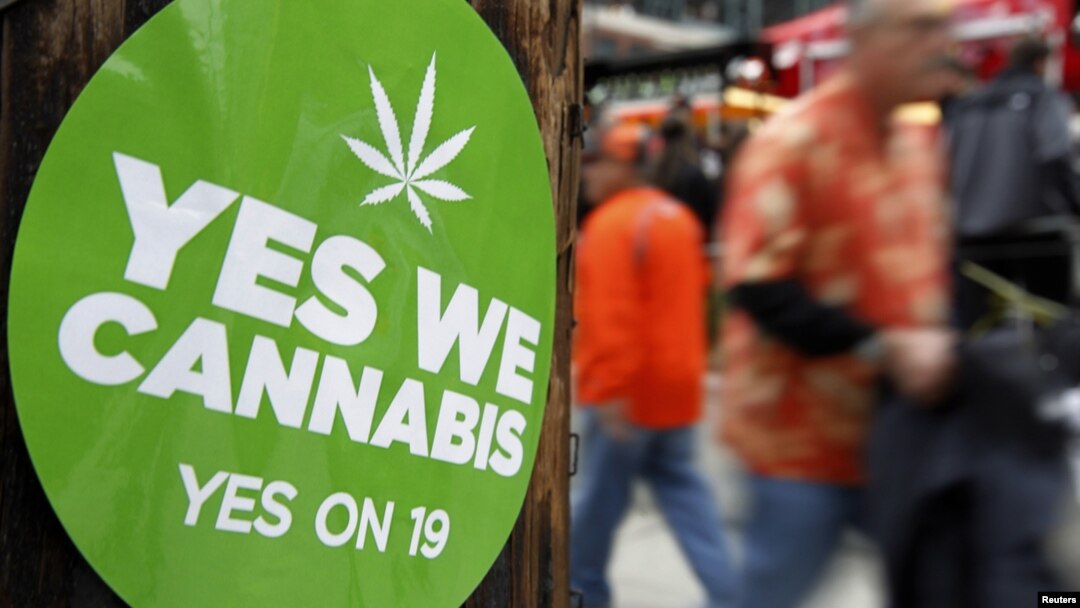 California voters failed to pass Proposition 19, a measure to legalize marijuana in the state, in 2010.