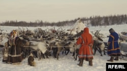 Оленеводы Ямала, архивное фото