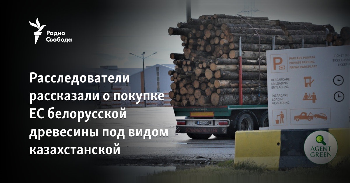 The investigators told about the EU’s purchase of Belarusian wood under the guise of Kazakh wood