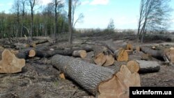 За повідомленням, відповідні домовленості уклали представники Держкосмосу і Міністерства захисту довкілля і природних ресурсів