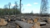 Українські ліси відступають перед котеджами
