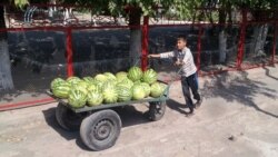 В городах дети зачастую моют машины, работают в частных торговых точках, на стройках или носильщиками на базарах. Туркменистан (Фото из архива) 