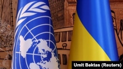 «На жаль, це не поодинокий випадок» – Моніторингова місія ООН з прав людини в Україні