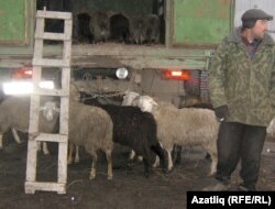 "Мал булмаса авылда яшәп тә торасы юк"