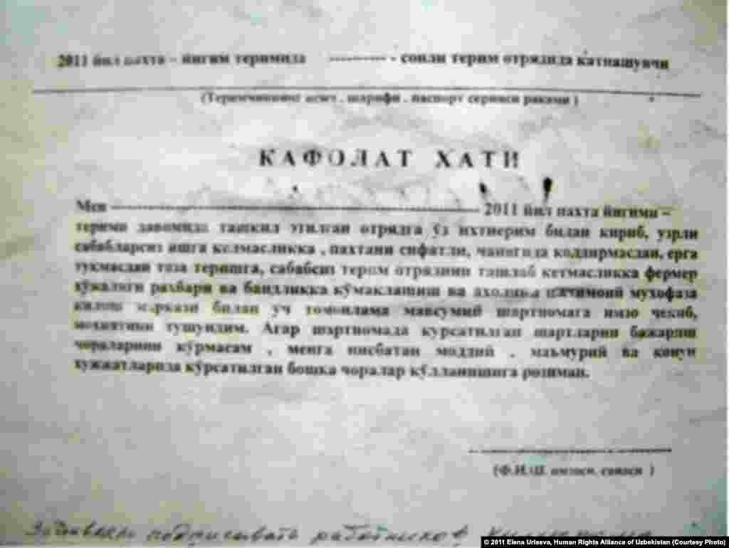 2011-nji &yacute;ylda hasyl &yacute;ygnalanda adamlar bilen baglanşylan &ldquo;pagta şertnamasynyň&rdquo; nusgasy. Bu &ldquo;şertnama&rdquo; gol &ccedil;ek&yacute;&auml;n tarap pagta hasylyny &yacute;ygnamaga gatnaşmaly hem-de her g&uuml;nki bellenen plany-da tabşyrmaly bol&yacute;ar.