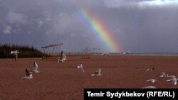 Берег озера Иссык-Куль. Архивное фото. 