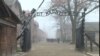 Politici de comemorare: 75 de ani de la eliberarea Auschwitzului