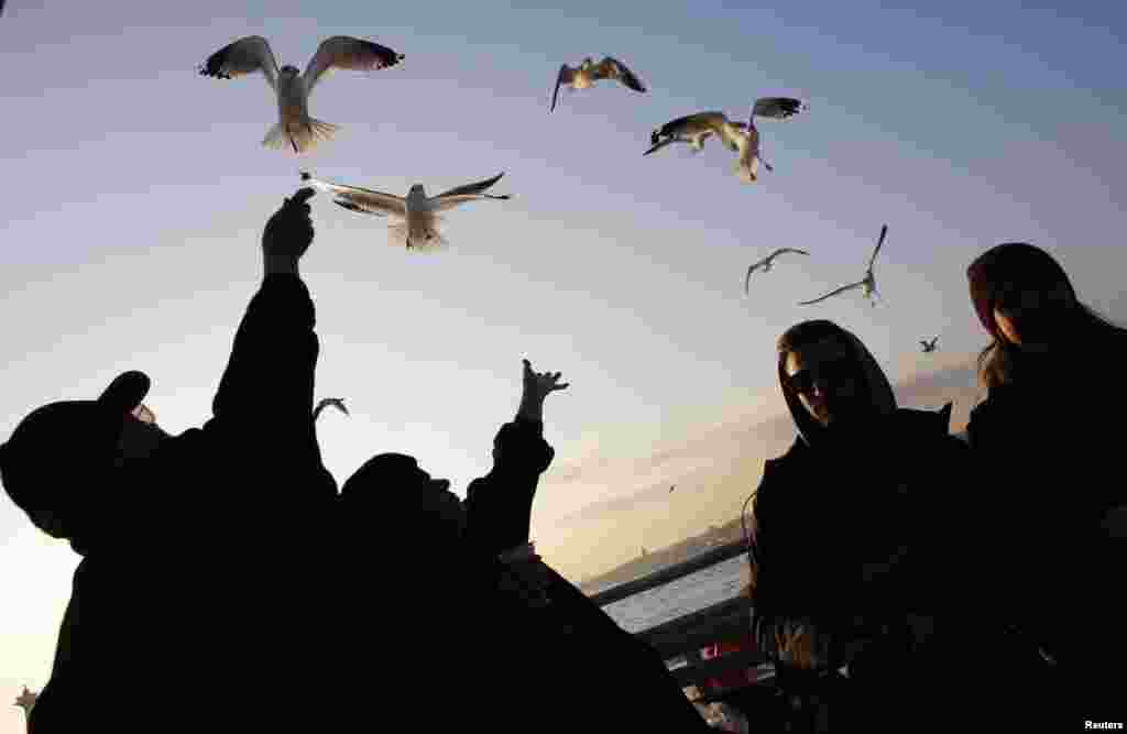 Passengers feed seagulls as they travel on a ferry on the Bosphorus in Istanbul. (Reuters/Murad Sezer)