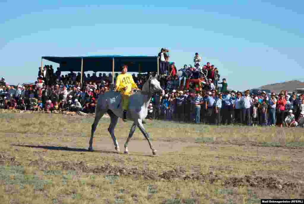 В конных состязаниях - байге - участвовали 40 скакунов.