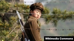 Північна Корея, вартова північнокорейського трудового табору
