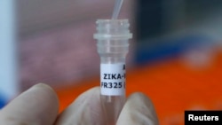 Laboratorijsko ispitivanje virusa zika, 2. februar 2016.