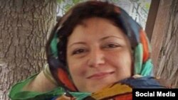 مرجان داوری کتابهایی نیز در حوزه روانشناسی ترجمه کرده است