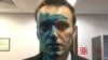 Зеленка против Алексея Навального 
