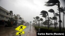 Jak vjetar na Floridi, fotoarhiv