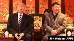 Donald Trump și Xi Jinping în Orașul Interzis, Beijing 8 noiembrie.