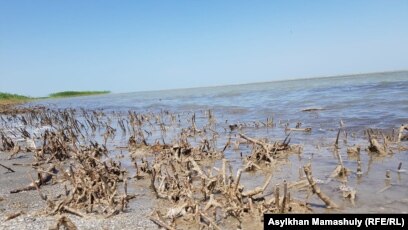 Аральское Море Фото До И После Высыхания