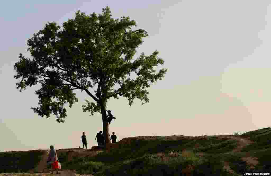 Children play around a tree in Islamabad, Pakistan. (Reuters/Caren Firouz)
