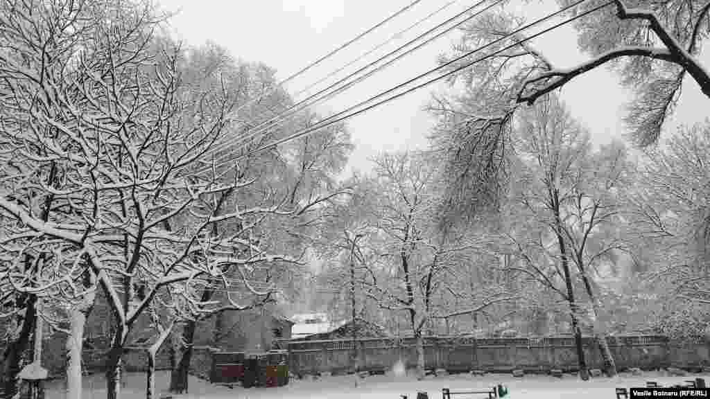 Iarna pe uliță... la Chișinău