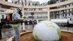 Radnik u zaštitnom odijelu dezinficira javnu baštu u obliku globusa u Alžiru