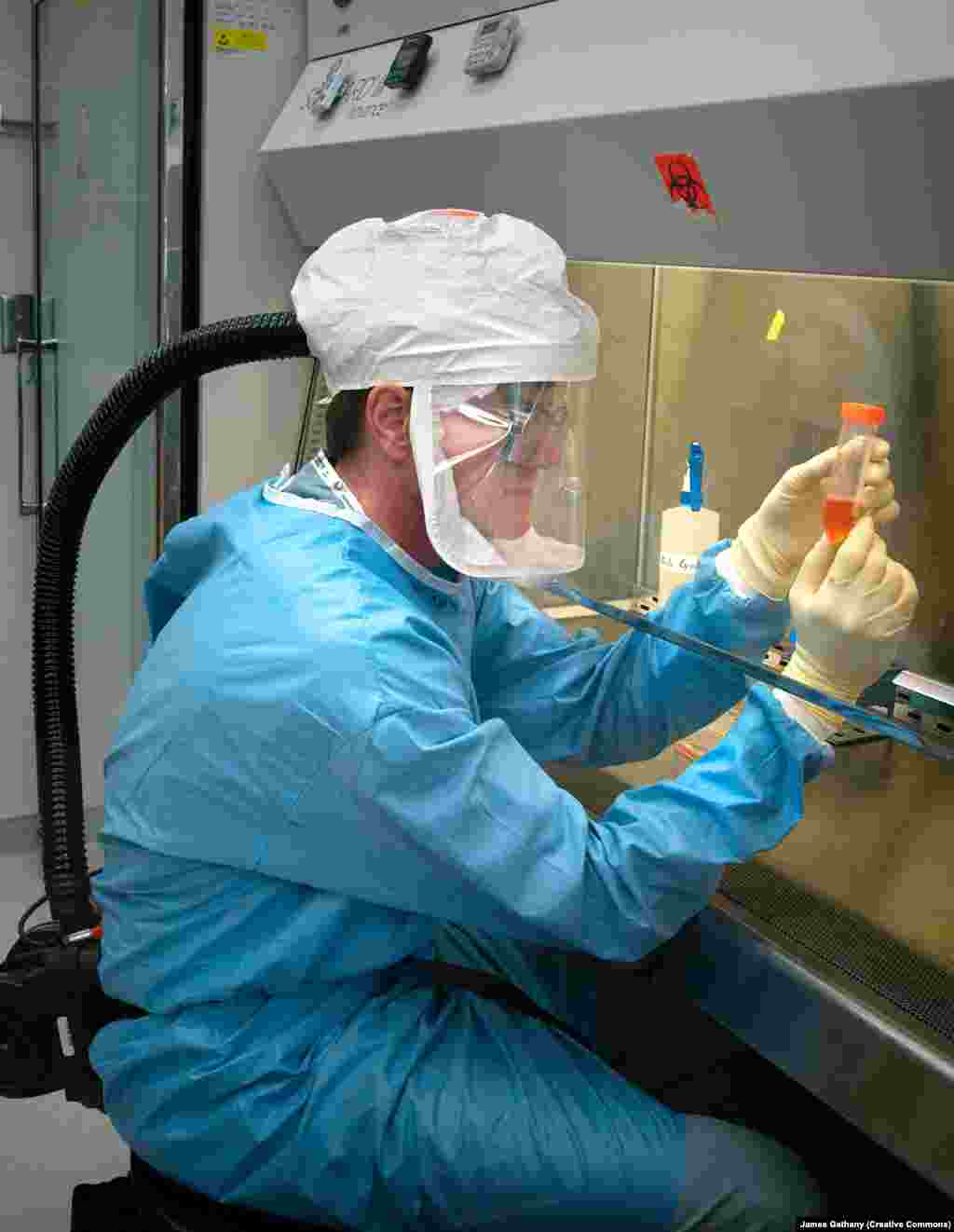 Microbiologist Terrence Tumpey studies a sample of the 1918 flu virus in 2005. The strain was reconstructed after scientists extracted lung tissue from victims of the pandemic who were buried outside a remote village in Alaska. &nbsp; Before the outbreak of the coronavirus, which originated in China in late 2019, Tumpey said: &quot;I think we also really have to be concerned about some of the bird-flu viruses that we see in Asia that are jumping from birds to humans and causing severe disease. If one of those viruses somehow figured out a way to spread efficiently from human to human, then we would have another pandemic on our hands.&quot;