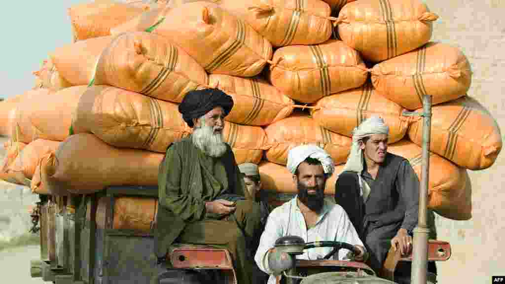 Villagers from a local Pashtun tribe transport grain through a settlement near Kandahar Air Field, in Afghanistan. (AFP/Tony Karumba)