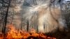 Пажары ў Сібіры часткова правакуюць, каб атрымаць кантракты на высяканьне лесу, — расейскі дэпутат