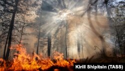 Лясны пажар у Іркуцкай вобласьці